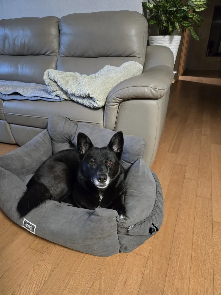 KakaoTalk_20251220_093519640_01.jpg?type=w773