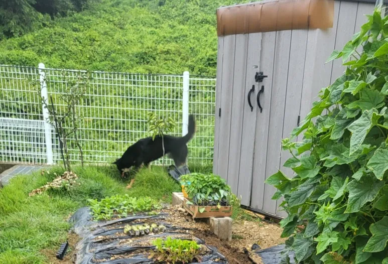 SE-f644d8ab-62dc-400d-a8f9-563547a3f72f.jpg?type=w773