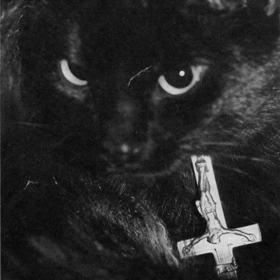 channels4_profile.jpg?type=w966