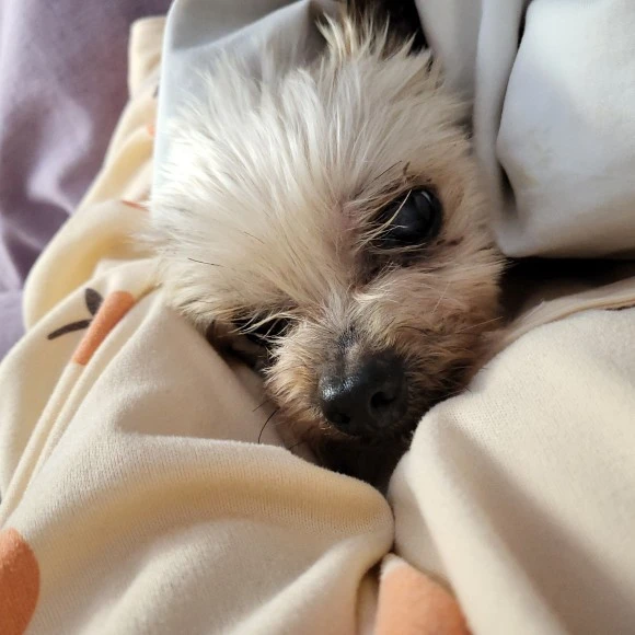 IMG_6740.JPG?type=w580