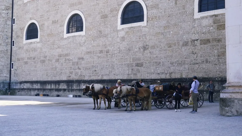 SE-505c4099-7a2a-4c70-b9e4-3e51215126b6.jpg?type=w1