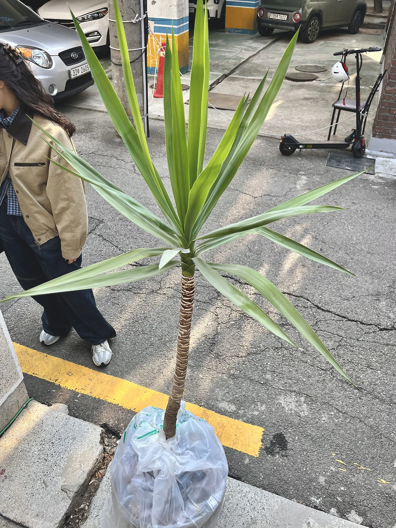 인터뷰 속 유카.HEIC