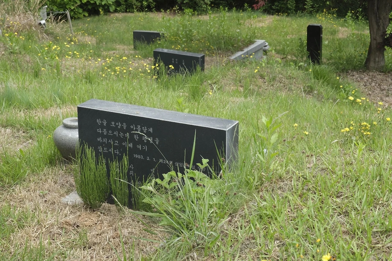 41689_1685933635.jpg?up3dsy5n