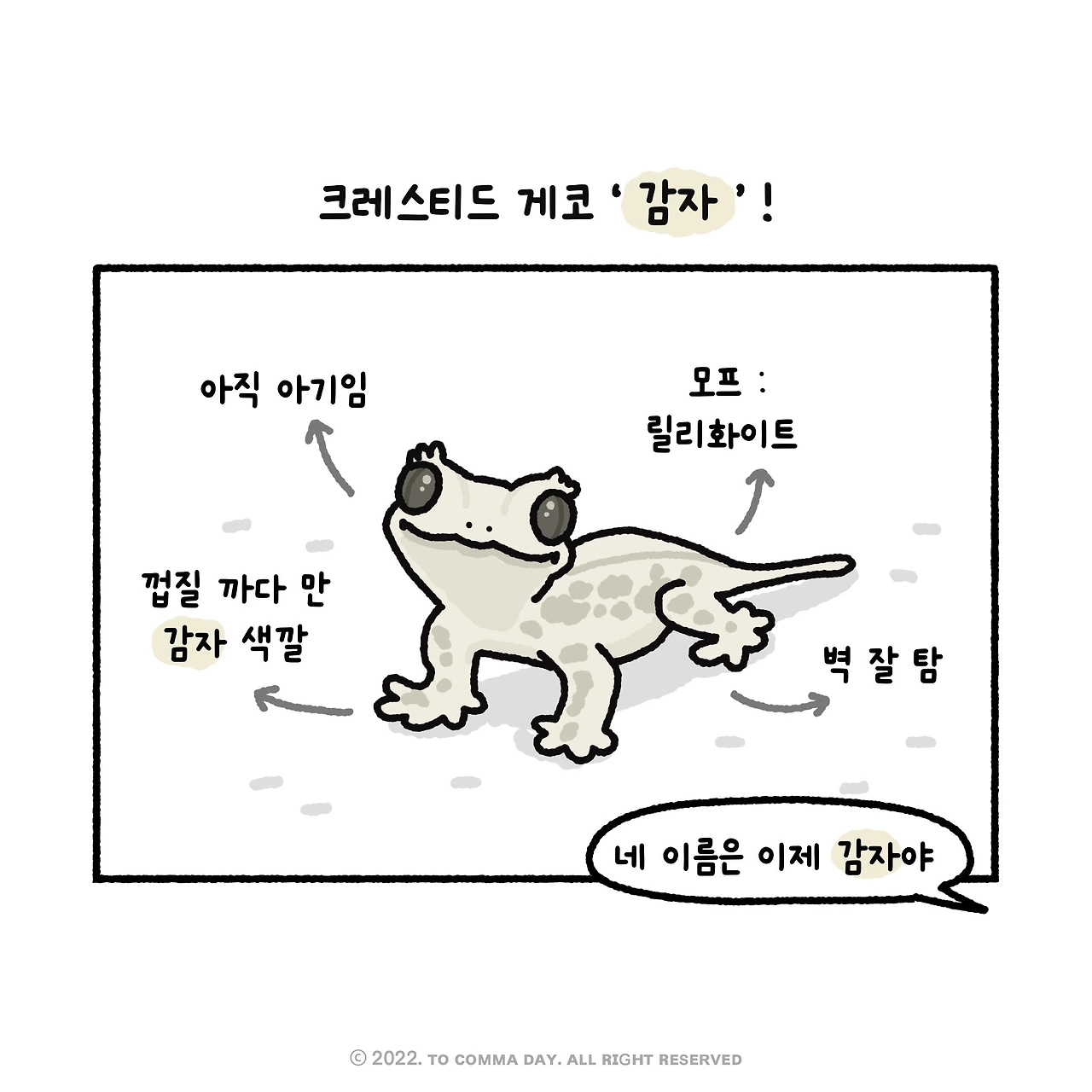 제목_없는_아트워크 2.JPG