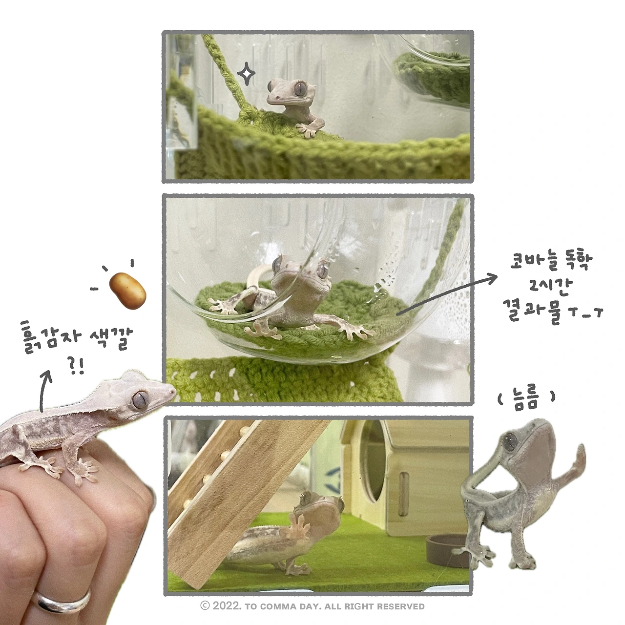 제목_없는_아트워크 9.JPG