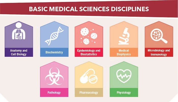 basic-medical.jpg?type=w800