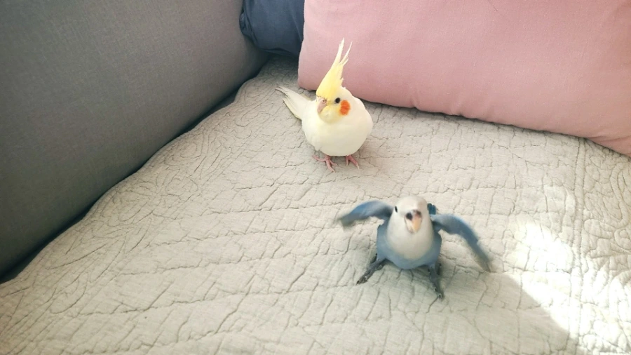 1726181427083.jpg?type=w1