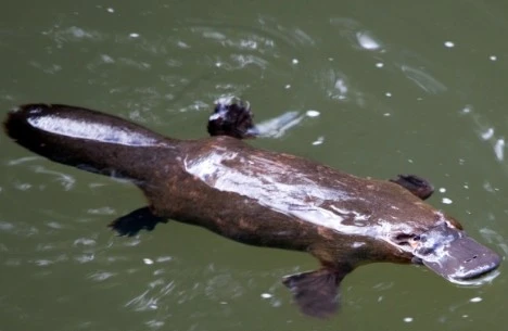 Screenshot_2024-03-19_at_17.14.26.JPG?type=w966