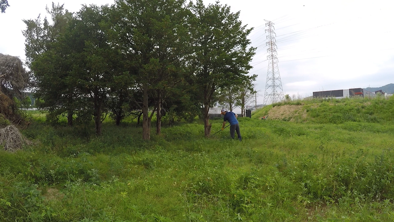 220605_1155.00_05_46_12.스틸 010.bmp