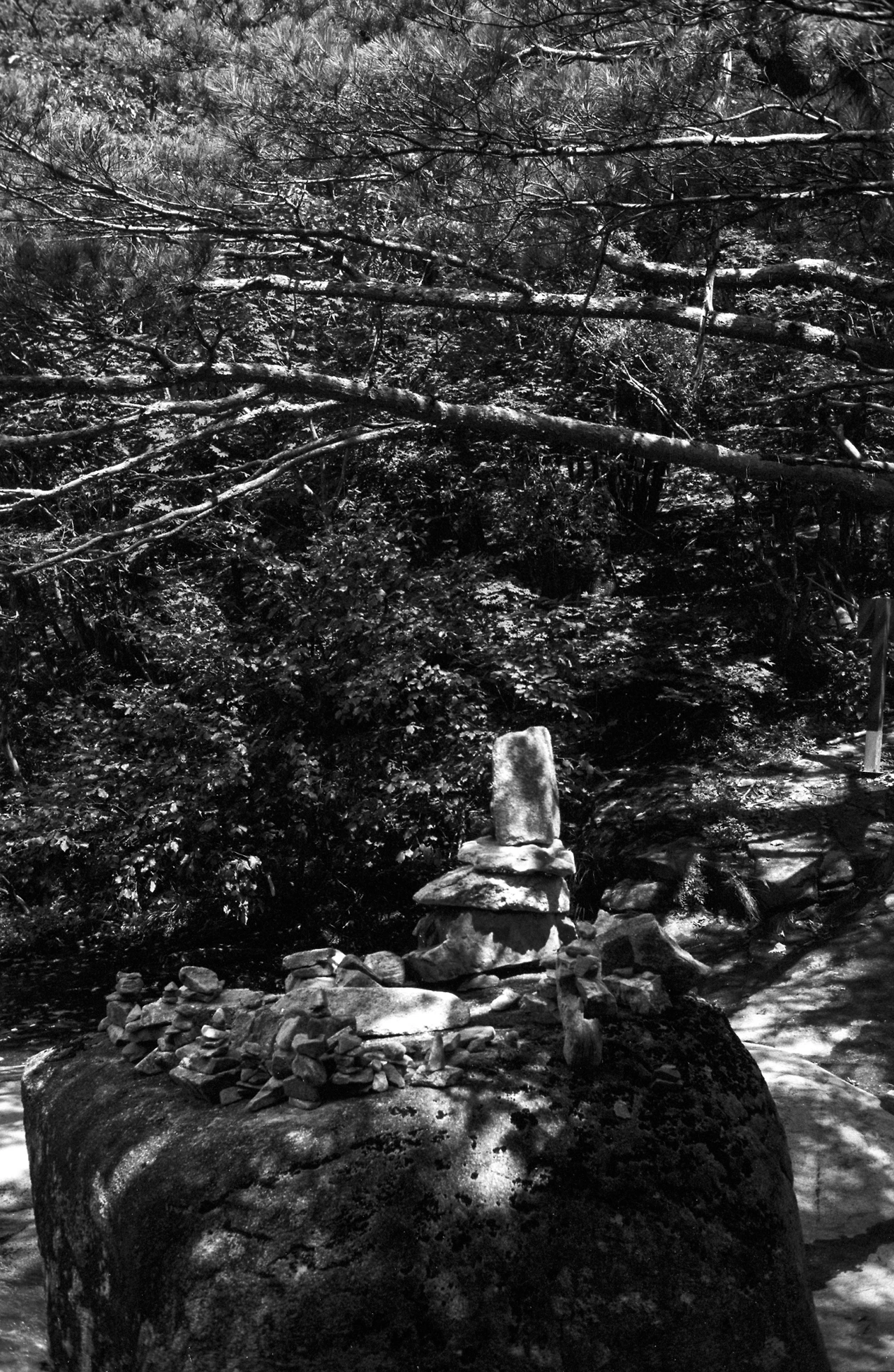 img.jpg?credential=yqXZFxpELC7KVnFOS48ylbz2pIh7yKj8&expires=1756652399&allow_ip=&allow_referer=&signature=KgOwmH0ZTNguiuBmsOv%2F9lJ1mfg%3D