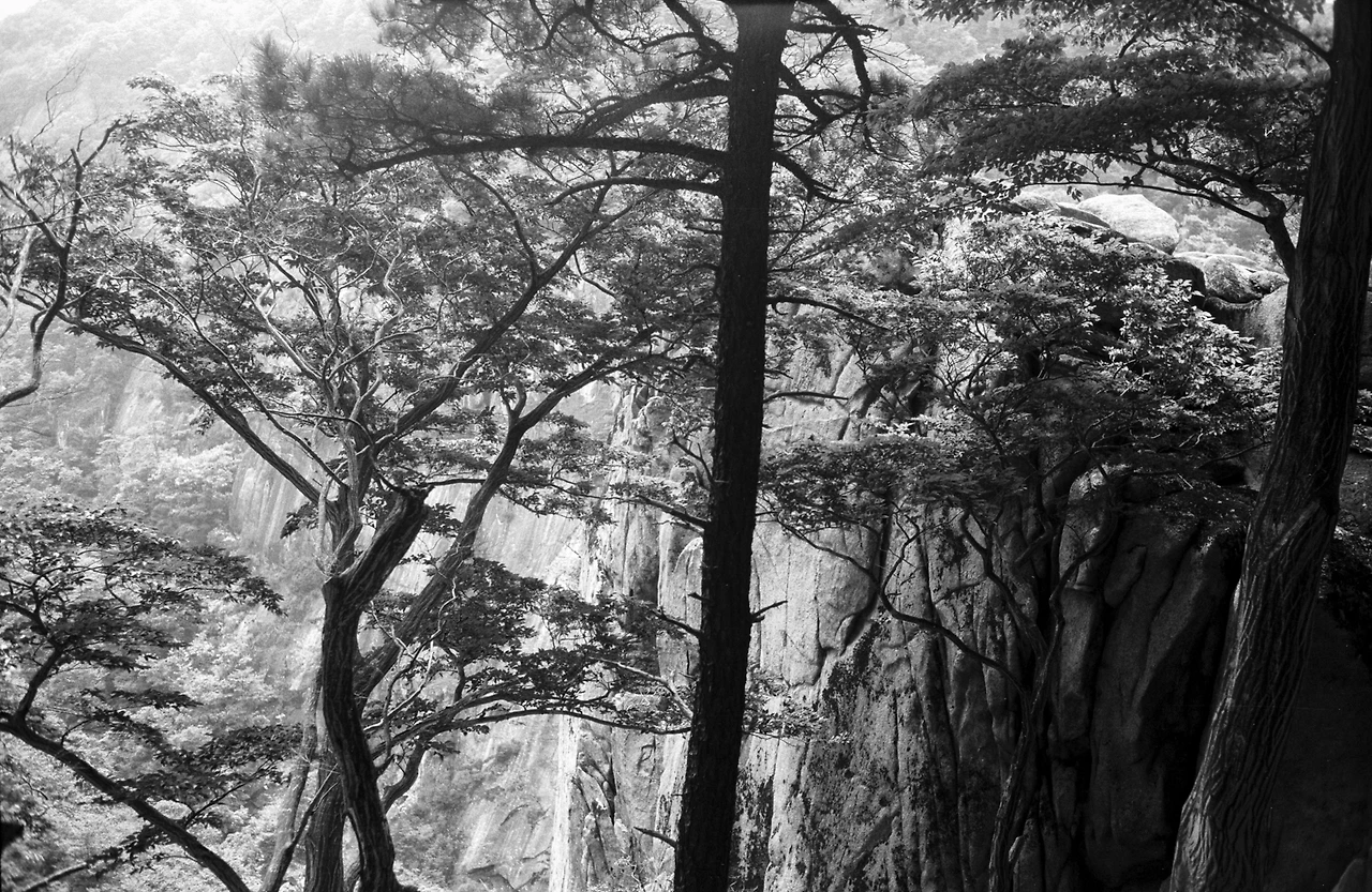 img.jpg?credential=yqXZFxpELC7KVnFOS48ylbz2pIh7yKj8&expires=1756652399&allow_ip=&allow_referer=&signature=D27v7geFYPwcSMYqn4QGLxy0nIY%3D