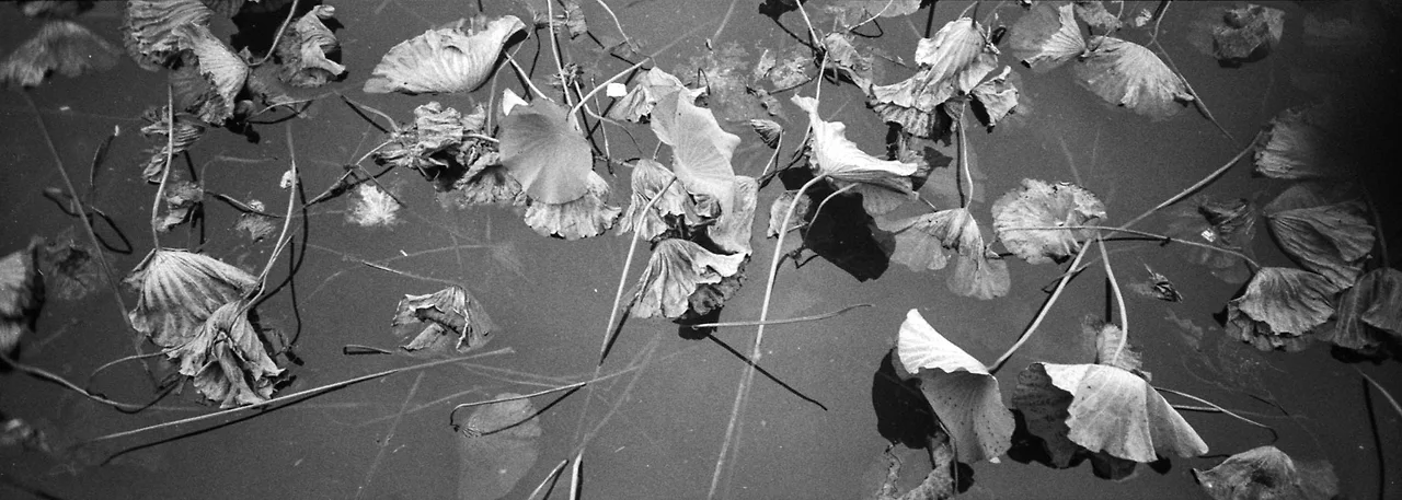 img.jpg?credential=yqXZFxpELC7KVnFOS48ylbz2pIh7yKj8&expires=1756652399&allow_ip=&allow_referer=&signature=SRUX4kc67uIZfaxVzIndcOrjmBs%3D