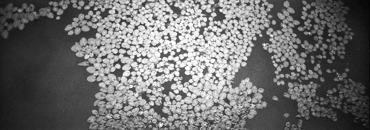 img.jpg?credential=yqXZFxpELC7KVnFOS48ylbz2pIh7yKj8&expires=1756652399&allow_ip=&allow_referer=&signature=PysqyZ18onYIGA%2BfZ94JXyfMGf4%3D