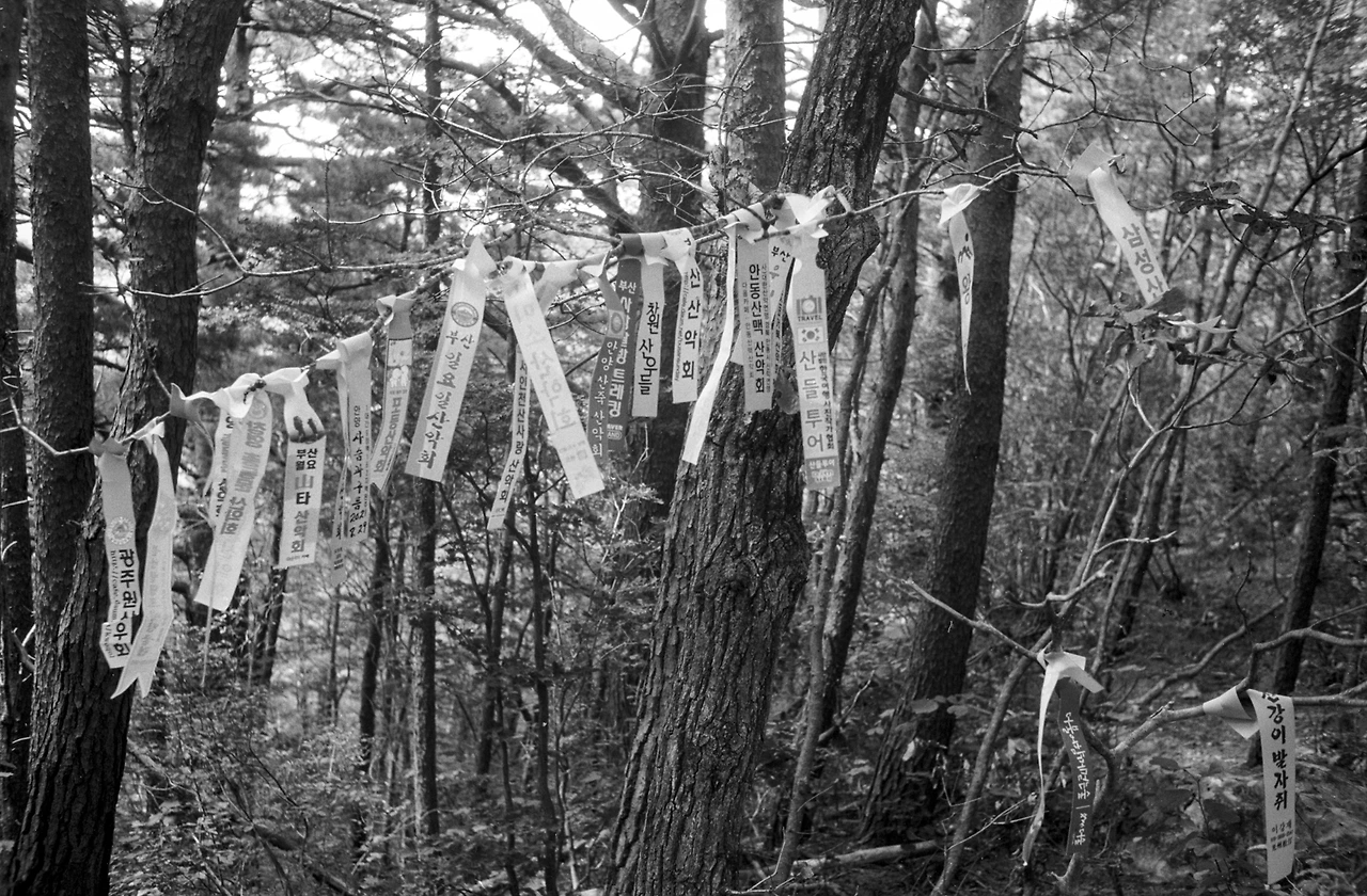 img.jpg?credential=yqXZFxpELC7KVnFOS48ylbz2pIh7yKj8&expires=1756652399&allow_ip=&allow_referer=&signature=wD04Bru7IweGgYkZGWuxL%2FUvmow%3D