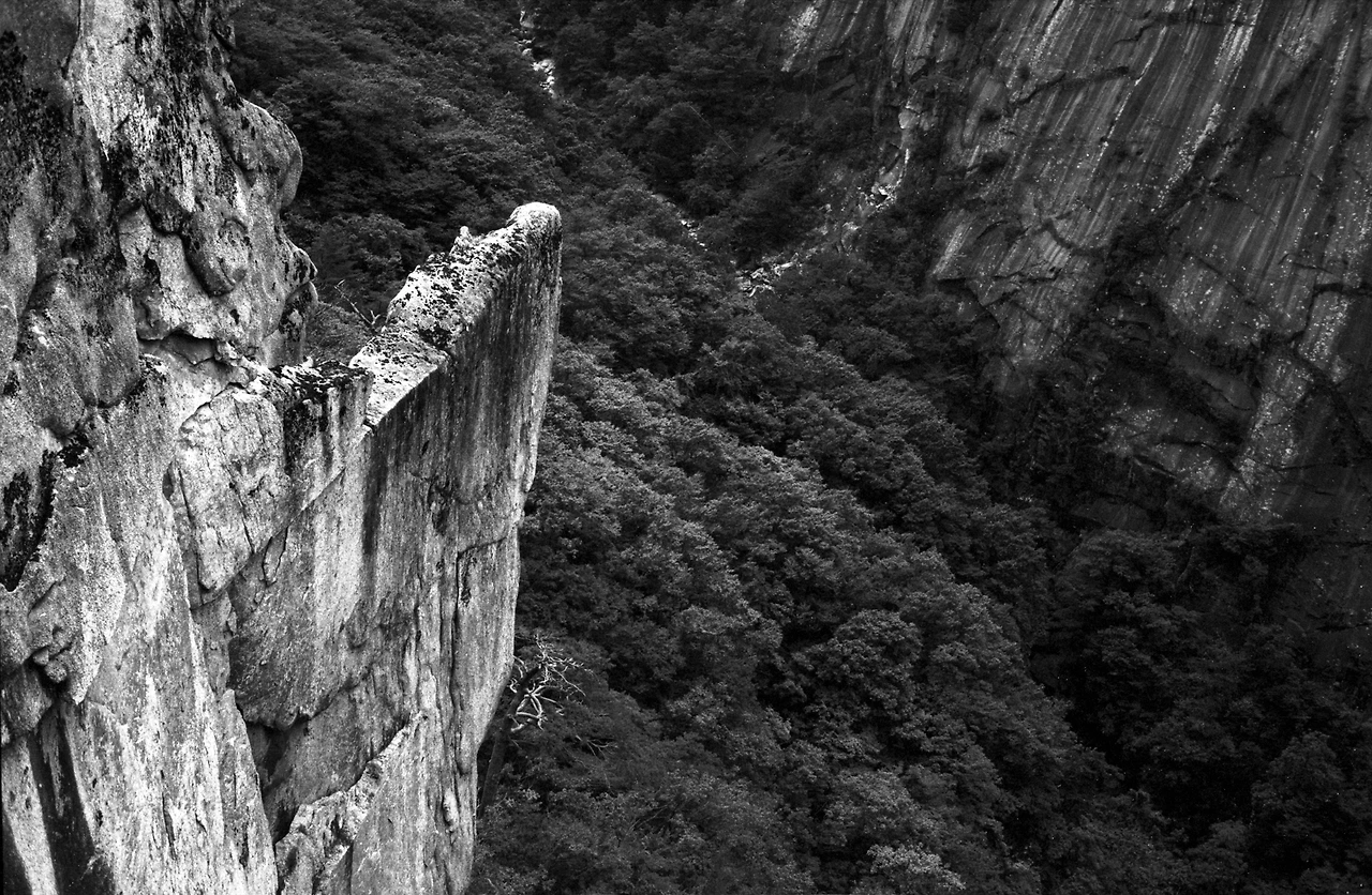 img.jpg?credential=yqXZFxpELC7KVnFOS48ylbz2pIh7yKj8&expires=1756652399&allow_ip=&allow_referer=&signature=bAz3m4vv3C%2B43gG5mhVp86E%2BVBM%3D