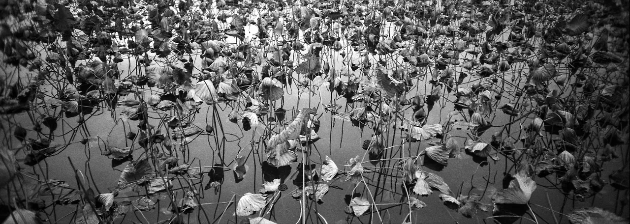 img.jpg?credential=yqXZFxpELC7KVnFOS48ylbz2pIh7yKj8&expires=1756652399&allow_ip=&allow_referer=&signature=oPmWyfXLl2XN77iHKwoSKuCdw1w%3D