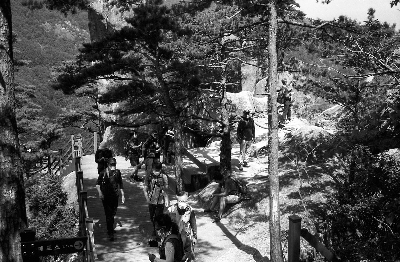 img.jpg?credential=yqXZFxpELC7KVnFOS48ylbz2pIh7yKj8&expires=1756652399&allow_ip=&allow_referer=&signature=4KSBVuQCLmRGok6OWRJhqYKk06I%3D