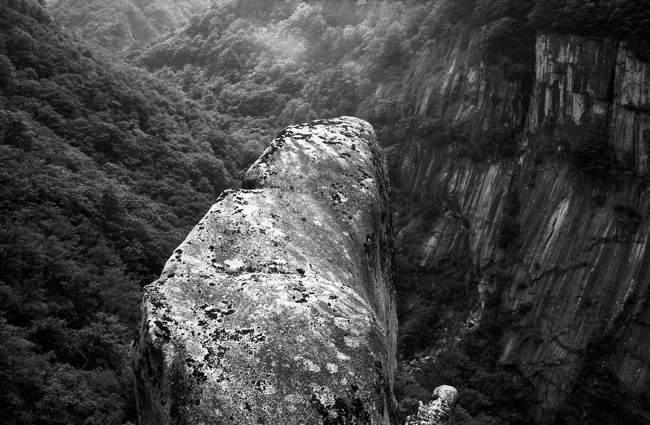 img.jpg?credential=yqXZFxpELC7KVnFOS48ylbz2pIh7yKj8&expires=1756652399&allow_ip=&allow_referer=&signature=rRqHURJxv%2BzNTciJeRcuZhj%2BdqM%3D