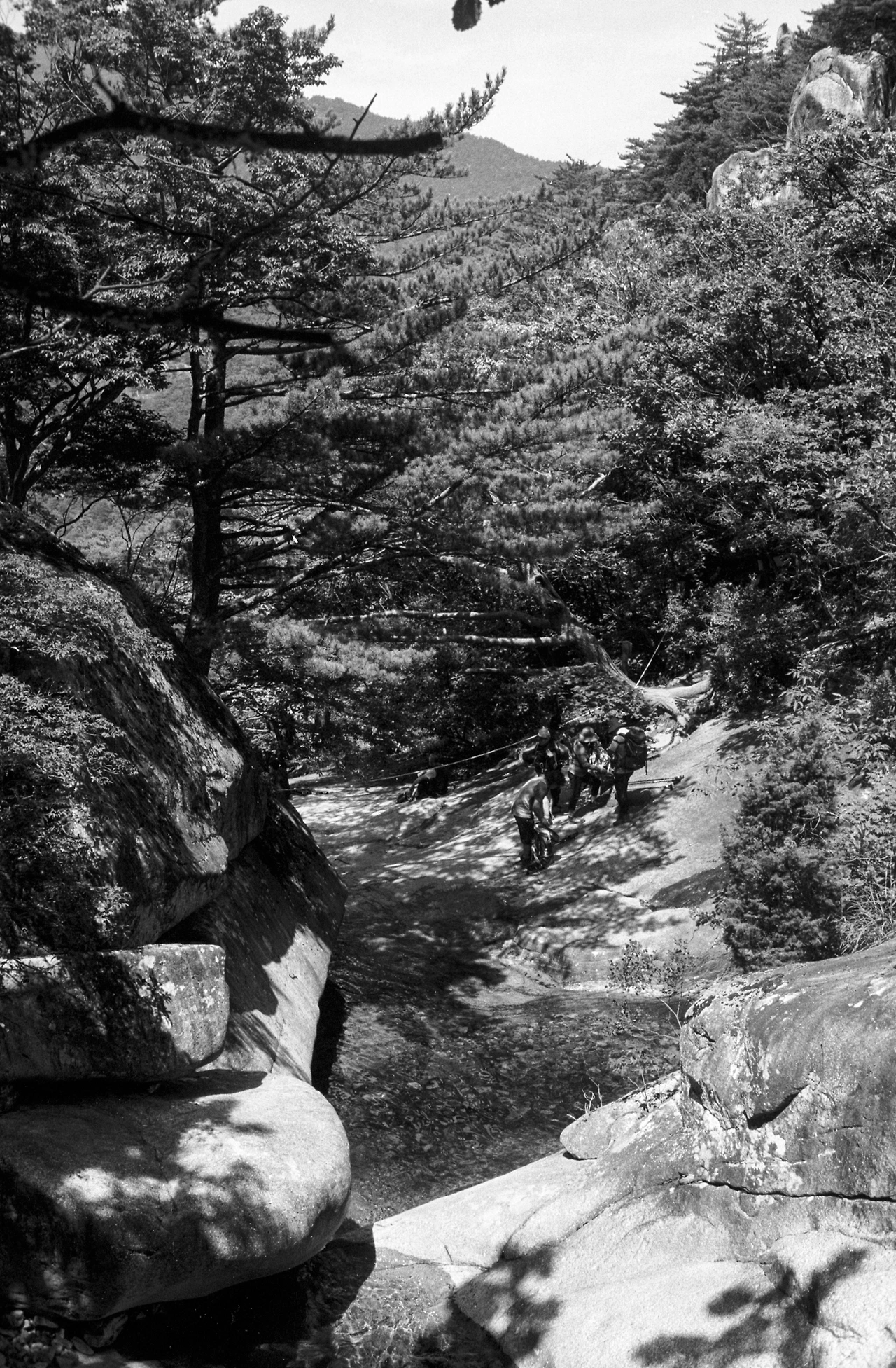 img.jpg?credential=yqXZFxpELC7KVnFOS48ylbz2pIh7yKj8&expires=1756652399&allow_ip=&allow_referer=&signature=dH5c3ZJ%2FSPeRxCz44BLykxPu0SM%3D