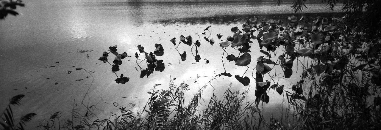 img.jpg?credential=yqXZFxpELC7KVnFOS48ylbz2pIh7yKj8&expires=1756652399&allow_ip=&allow_referer=&signature=VTu7t79TIZU6Xv6%2FIyjVtjcZgbM%3D