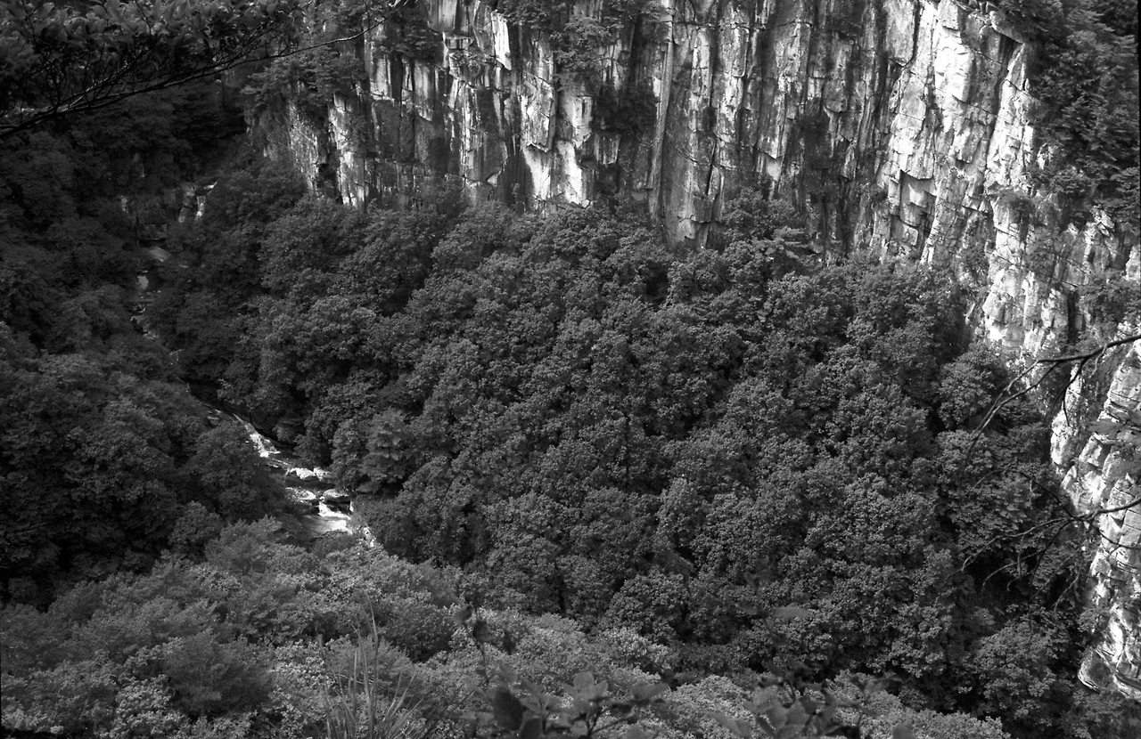 img.jpg?credential=yqXZFxpELC7KVnFOS48ylbz2pIh7yKj8&expires=1756652399&allow_ip=&allow_referer=&signature=Ghe7Ni9rlHwe8CT2xnWPgxblDPk%3D