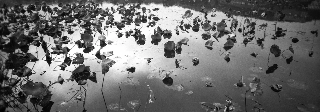 img.jpg?credential=yqXZFxpELC7KVnFOS48ylbz2pIh7yKj8&expires=1756652399&allow_ip=&allow_referer=&signature=G5Ltd%2Fo3CqlbWqxMTUIrEAd73IM%3D