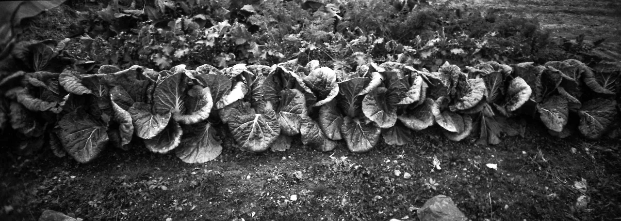 img.jpg?credential=yqXZFxpELC7KVnFOS48ylbz2pIh7yKj8&expires=1756652399&allow_ip=&allow_referer=&signature=Fmhzbty6sh7J0aClswDH%2BC0SMrs%3D