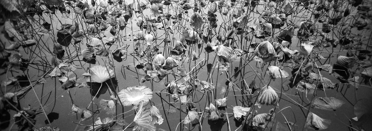 img.jpg?credential=yqXZFxpELC7KVnFOS48ylbz2pIh7yKj8&expires=1756652399&allow_ip=&allow_referer=&signature=vgMFnJdEZ4DkXoguXnkH1lBxBN4%3D