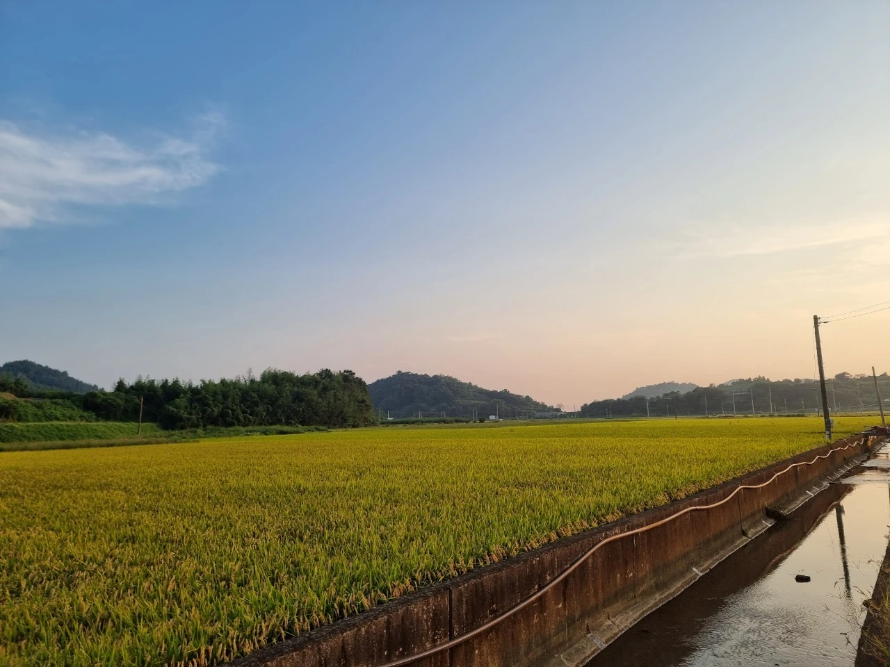 0_99jUd018svc1mc3xb957qexv_e5tzrr.jpg?type=e1920_std