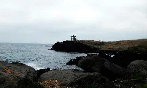 C360_2016-04-11-11-06-48-736.jpg?type=w773