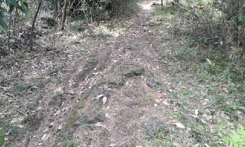 20160420_1354442.jpg?type=w773