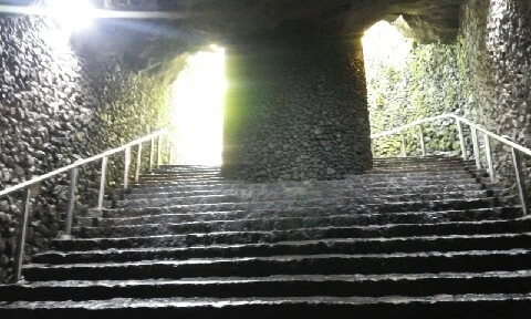 20160414_1319269.jpg?type=w773