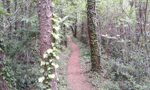 20160420_1140575.jpg?type=w773