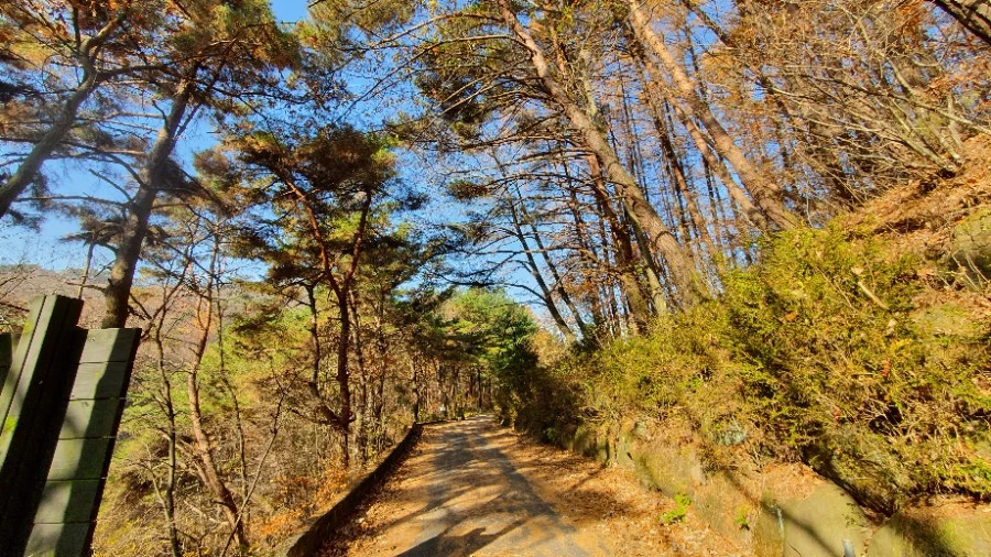 1604840420468%25EF%25BC%258D7.jpg?type=w1