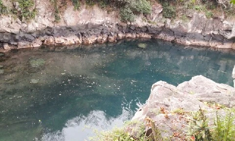 20160405_1717123.jpg?type=w773