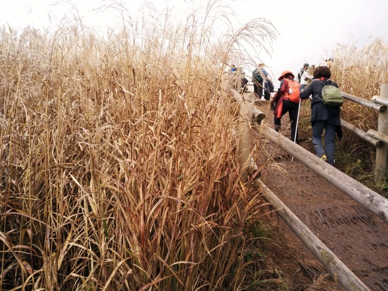 IMG_20171022_120106.jpg?type=w773