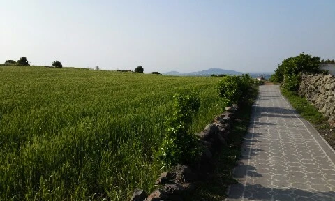 20160419_1700369.jpg?type=w773