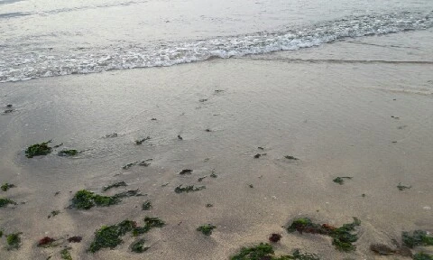 20160405_1820441.jpg?type=w773