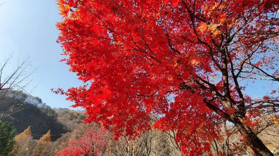 1604840420468%25EF%25BC%258D14.jpg?type=w1