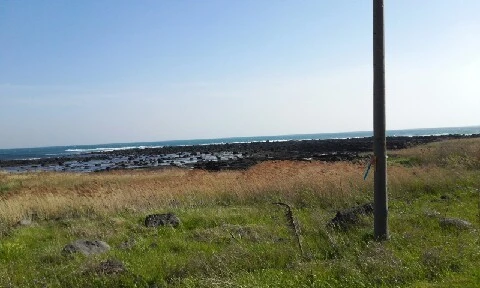 20160417_1618338.jpg?type=w773