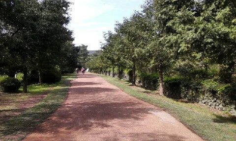 C360_2016-04-09-10-08-20-785.jpg?type=w773