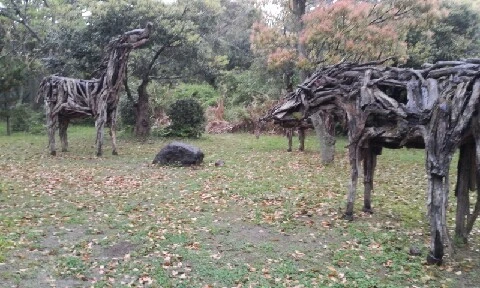 20160416_1505588.jpg?type=w773