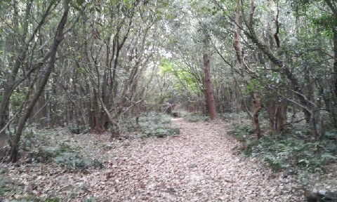 20160420_1453324.jpg?type=w773