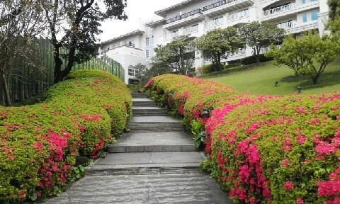 20160418_1201552.jpg?type=w773