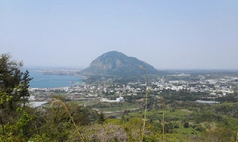 20160419_1104091.jpg?type=w773