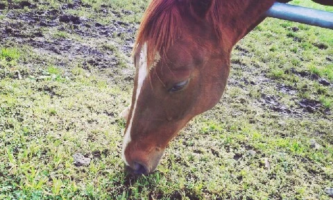 C360_2016-04-07-17-26-41-389.jpg?type=w773