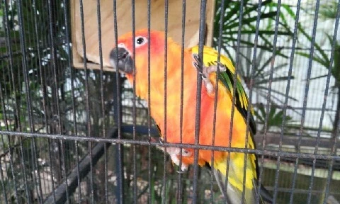 20160407_1011271.jpg?type=w773