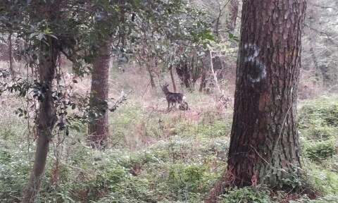 20160406_0834231.jpg?type=w2