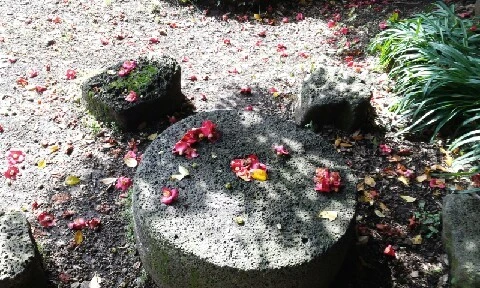 20160414_0952079.jpg?type=w773