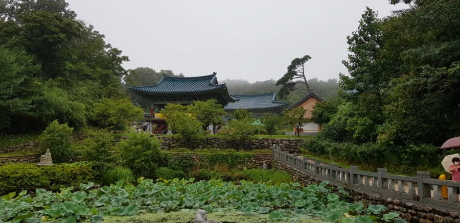 1599230197325.jpg?type=w1